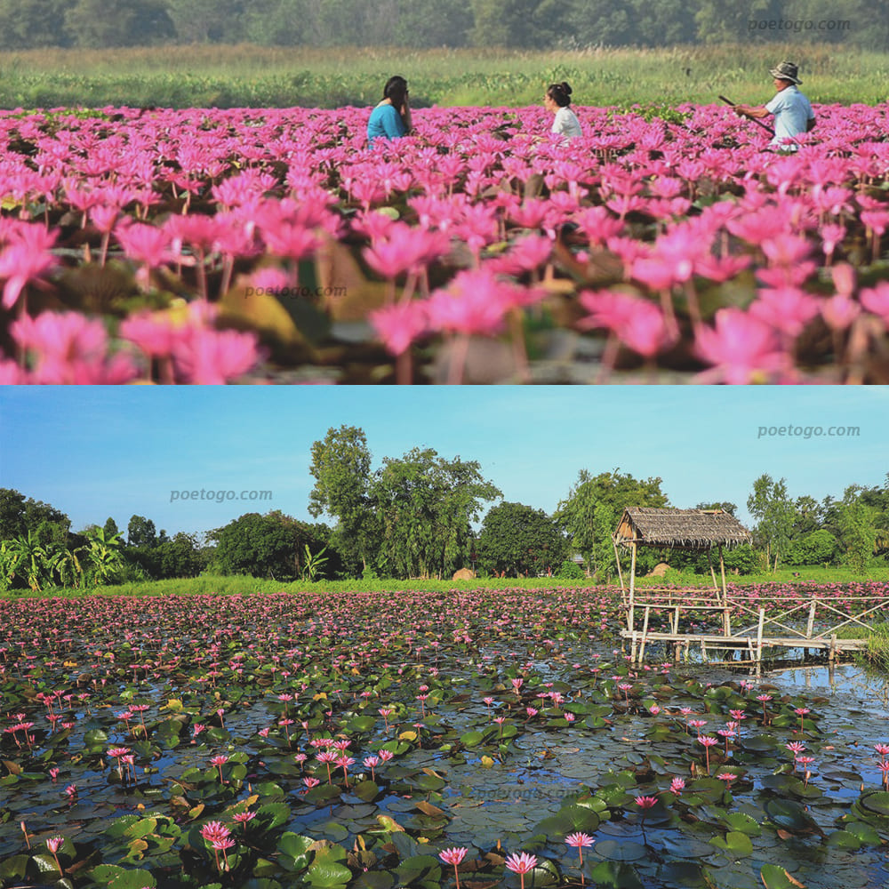 จังหวัดนครนายก