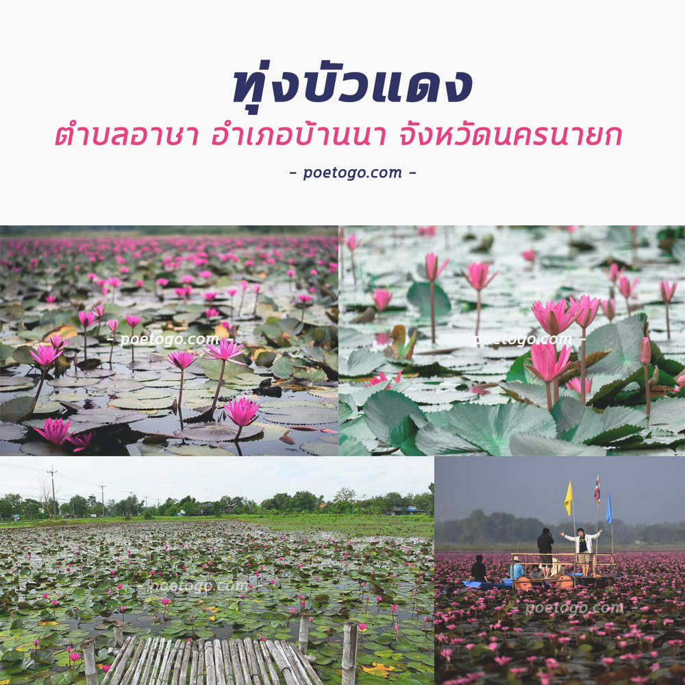เที่ยวทุ่งบัวแดง