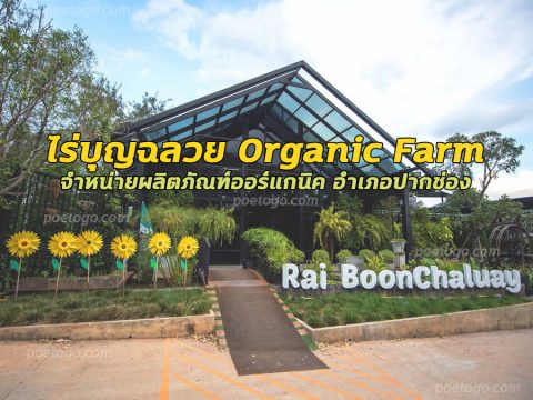 ไร่บุญฉลวย Organic Farm จำหน่ายผลิตภัณฑ์ออร์แกนิค