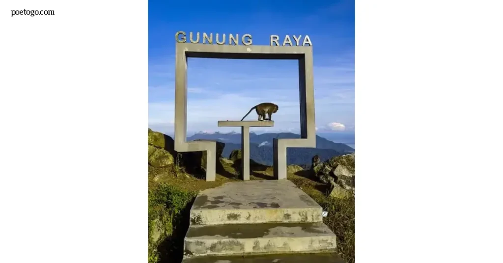 Gunung Raya กูนุงรายา เป็นภูเขาที่สูงที่สุดในเกาะลังกาวี ประเทศมาเลเซีย โดยมีความสูงกว่า 880 เมตรเหนือระดับน้ำทะเล ถือเป็นจุดหมาย