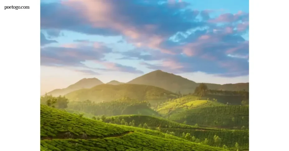 Kotagiri เมืองหมอกแห่งขุนเขาอินเดียใต้
