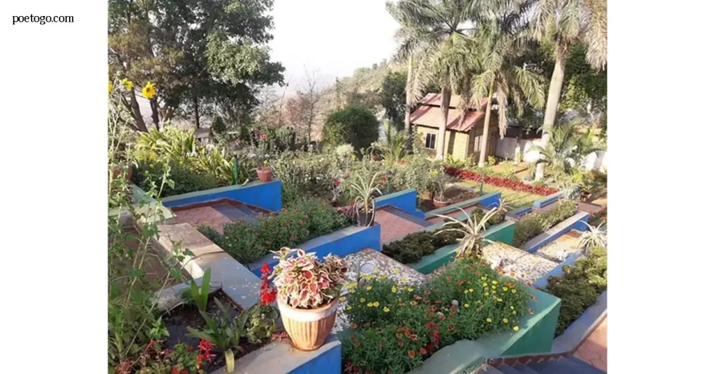 Step Garden สวนขั้นบันได สวนขั้นบันไดกำลังได้รับความสนใจอย่างรวดเร็วในกลุ่มคนเมืองที่มีพื้นที่จำกัดแต่ยังอยากใกล้ชิดธรรมชาติ