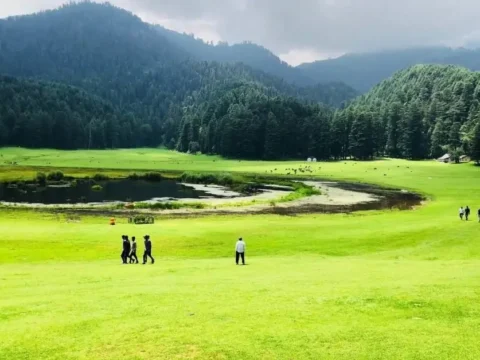 Dalhousie Himalayan
